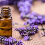lavanda